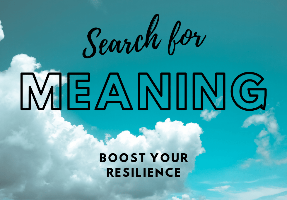 search for meaning