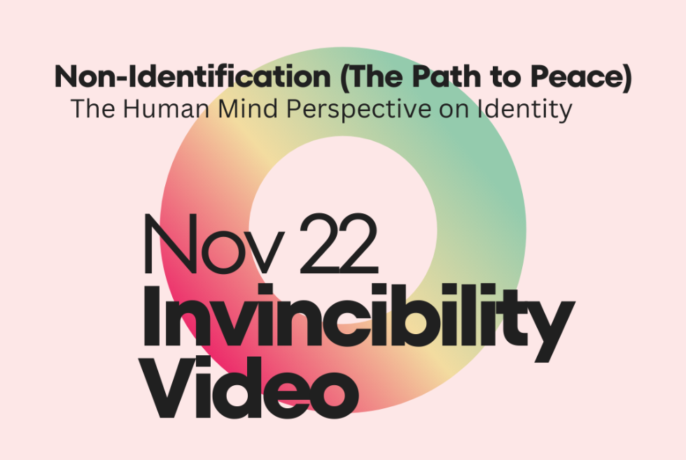 Non-Identification Excerpt