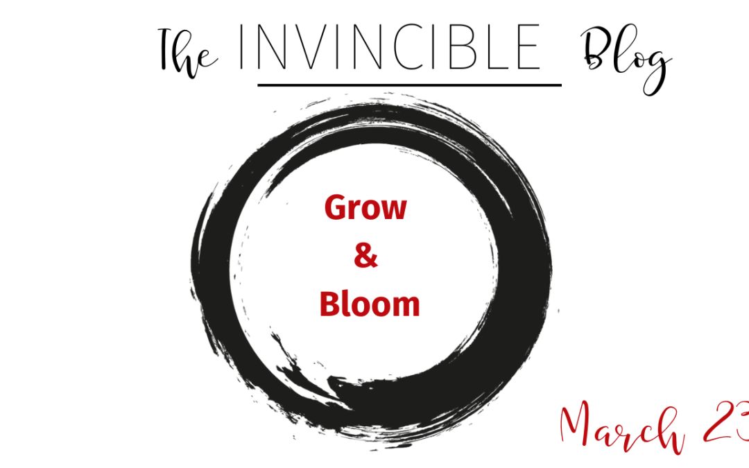 BLOG:  What do you need to bloom this year?