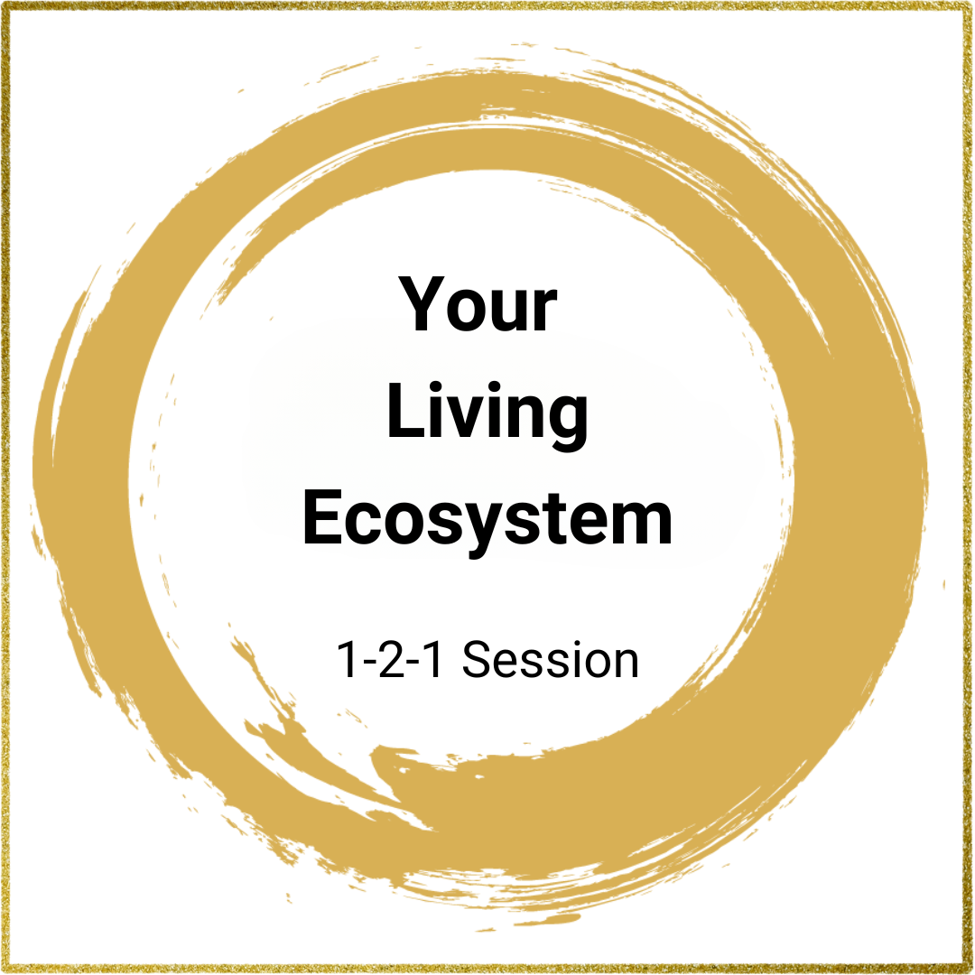 Your Living Ecosystem 1 Session